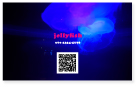 ̿̾ɡåץɡ餲jerryfish