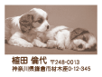 ペット用品 犬 猫 オリジナルグッズ ギフト