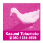 ダイビングのログブックに